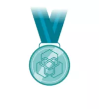Medal - Extraordinary Achievement