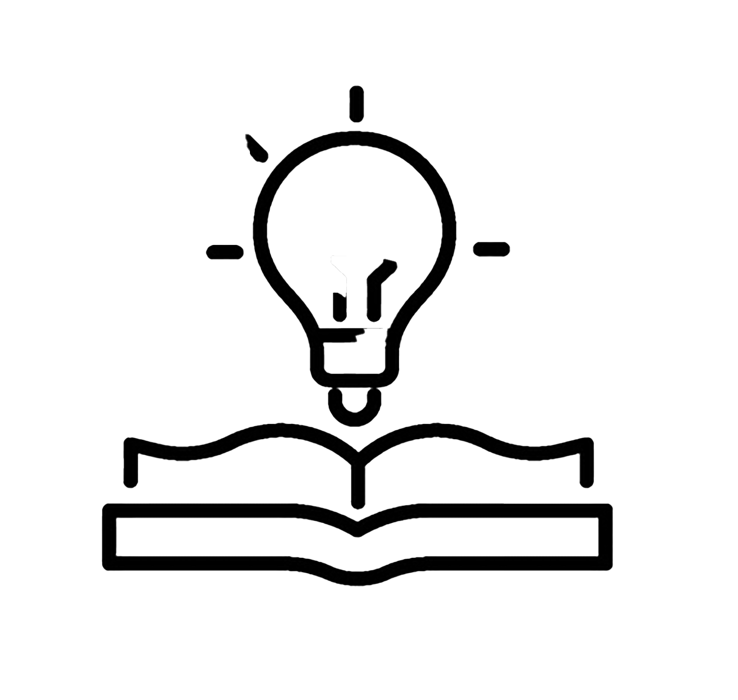 lightbulb icon