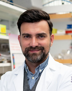 Bogdan Popescu, MD, PhD