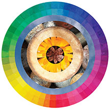 brightly-colored concentric circles with color spectrum at edges
